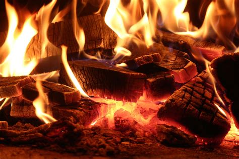 Free wood fire. Things To Know About Free wood fire. 
